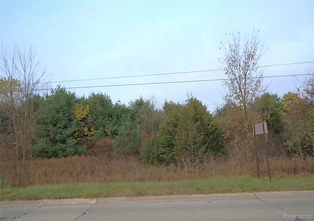 Photo 1 of Land for sale at V/l Clio Rd, Mount Morris, MI 48458 | MLS# 20261086521 | Listing updated on 2026-10-26