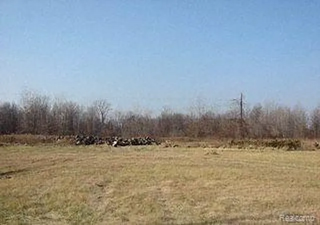 Photo 2 of Land for sale at 6130 Wayne Rd, Romulus, MI 48174 | MLS# 219001314 | Listing updated on 2026-07-06