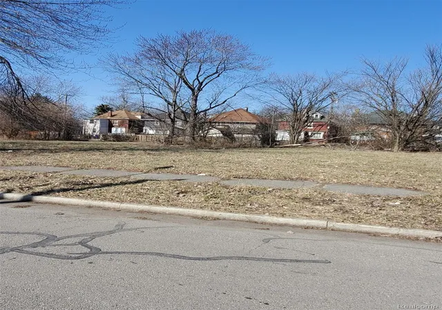 4th image of 259 Mount Vernon Ave, Detroit City Wayne, MI 48202 | MLS# 2200016561