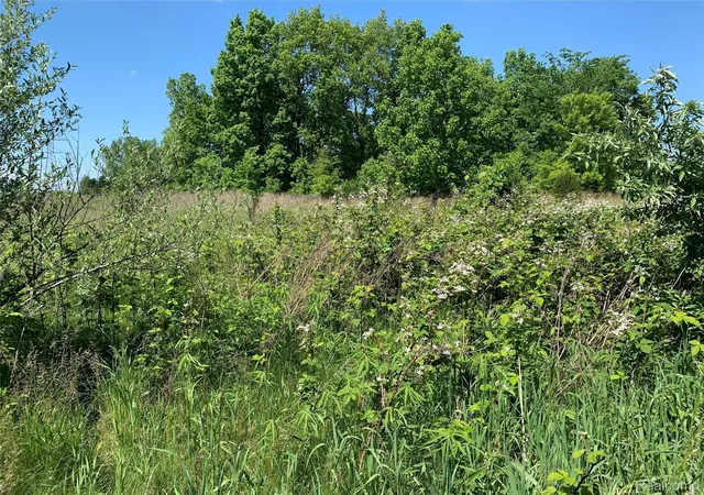 Photo 3 of Land for sale at 6157 High Valley Dr, White Lake, MI 48383 | MLS# 2210009444 | Listing updated on 2026-05-21