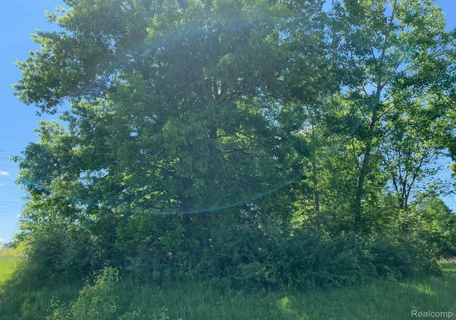 Photo 4 of Land for sale at 6157 High Valley Dr, White Lake, MI 48383 | MLS# 2210009444 | Listing updated on 2026-05-21