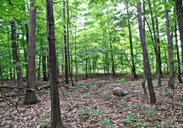 Photo 4 of Land for sale at 33 Forest Gate Ct, Grand Blanc Charter Township Genesee, MI 48439 | MLS# 2210022780 | Listing updated on 2026-09-21