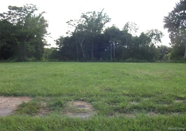 Photo 1 of Land for sale at 1131 Newport, Detroit, MI 48215 | MLS# 2210069129 | Listing updated on 2026-03-04