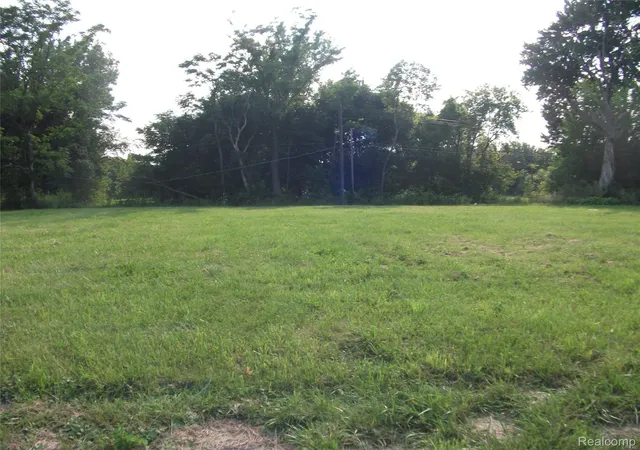 Photo 2 of Land for sale at 1131 Newport, Detroit, MI 48215 | MLS# 2210069129 | Listing updated on 2026-03-04