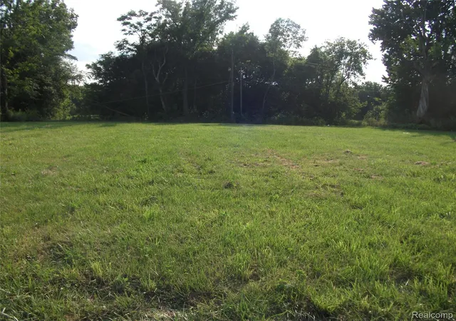 Photo 3 of Land for sale at 1131 Newport, Detroit, MI 48215 | MLS# 2210069129 | Listing updated on 2026-03-04