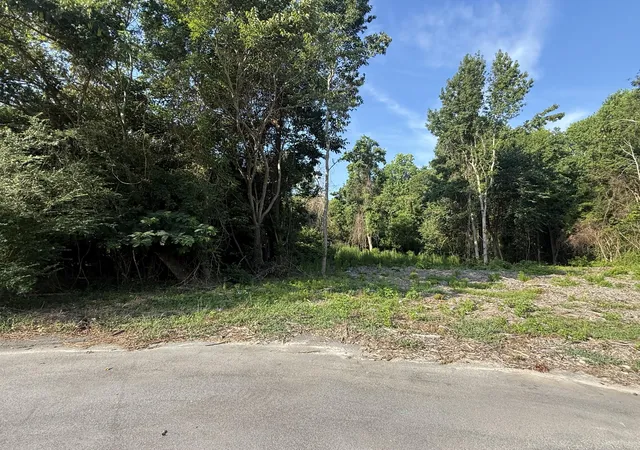 Photo 3 of Land for sale at 1402 Loblolly, Manning, SC 29102 | MLS# 26020964 | Listing updated on 2026-09-21