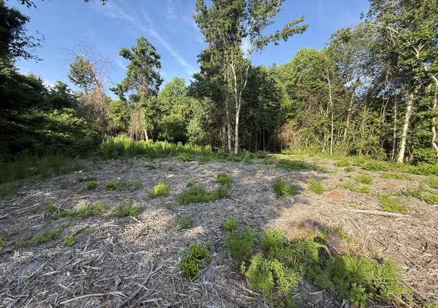 Photo 4 of Land for sale at 1402 Loblolly, Manning, SC 29102 | MLS# 26020964 | Listing updated on 2026-08-26