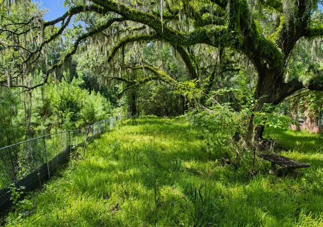 2nd image of 336 Drayton St, Mc Clellanville, SC 29458 | MLS# 26022479