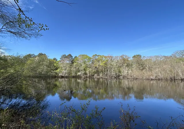 Photo 1 of Land for sale at 1 Boat Landing Rd, Ridgeville, SC 29472 | MLS# 26007840 | Listing updated on 2026-04-22