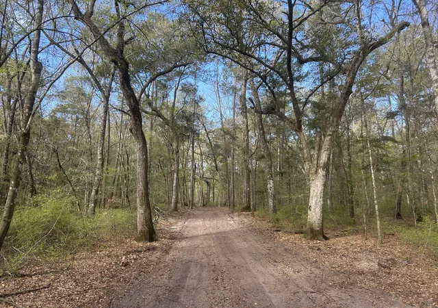 Photo 2 of Land for sale at 1 Boat Landing Rd, Ridgeville, SC 29472 | MLS# 26007840 | Listing updated on 2026-04-22