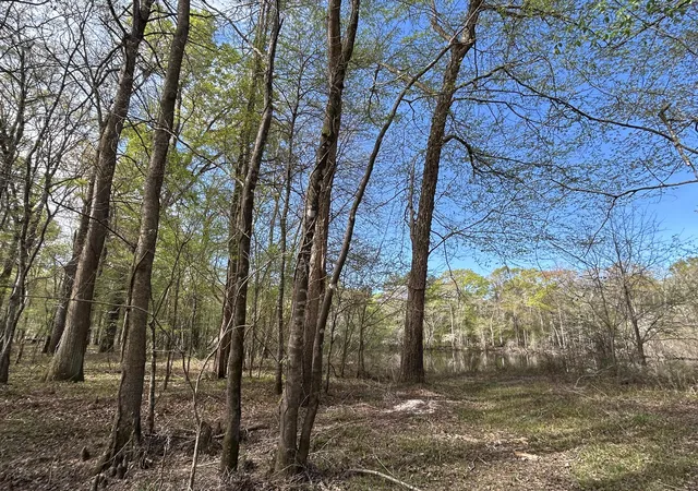 Photo 3 of Land for sale at 1 Boat Landing Rd, Ridgeville, SC 29472 | MLS# 26007840 | Listing updated on 2026-10-09