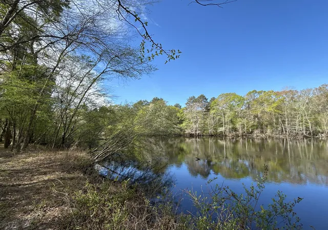 Photo 3 of Land for sale at 1 Boat Landing Rd, Ridgeville, SC 29472 | MLS# 26007840 | Listing updated on 2026-10-09