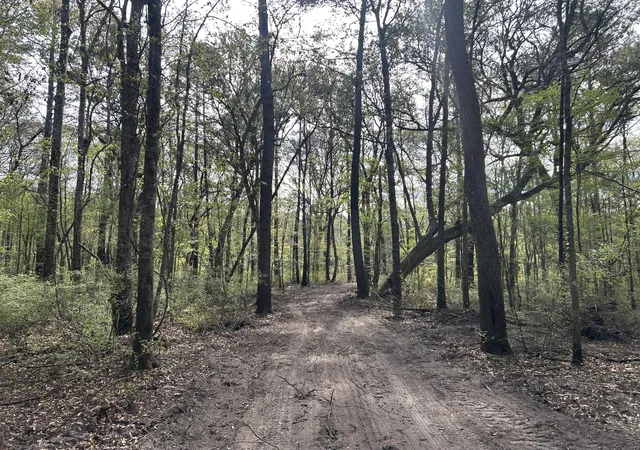 Photo 4 of Land for sale at 1 Boat Landing Rd, Ridgeville, SC 29472 | MLS# 26007840 | Listing updated on 2026-10-09
