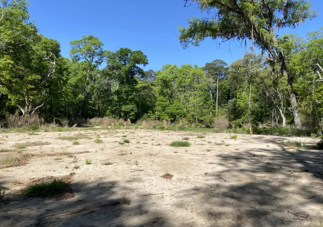 1st image of 6079 Josie Ridge Rd, Wadmalaw Island, SC 29487 | MLS# 26011568