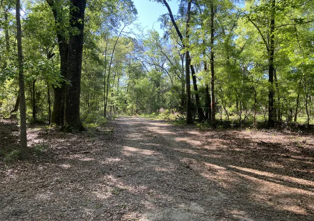 2nd image of 6079 Josie Ridge Rd, Wadmalaw Island, SC 29487 | MLS# 26011568