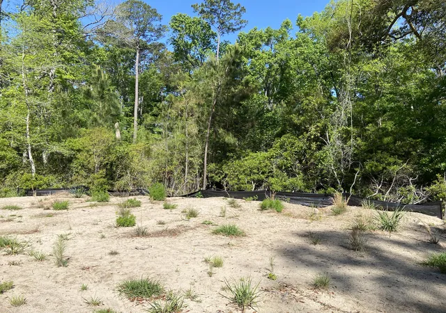 5th image of 6079 Josie Ridge Rd, Wadmalaw Island, SC 29487 | MLS# 26011568