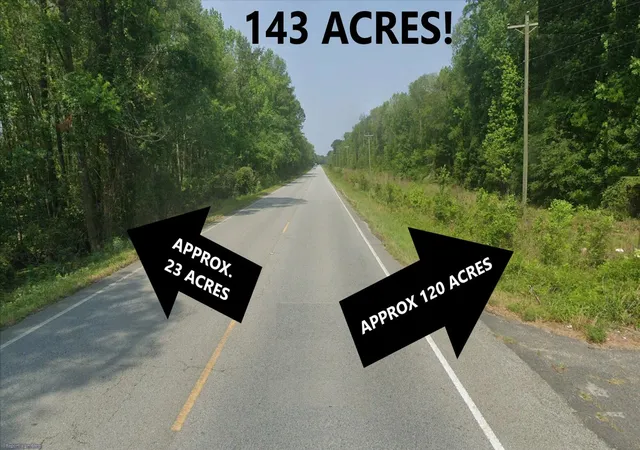 Photo 4 of Land for sale at 0 S Highway 17, Ridgeville, SC 29472 | MLS# 25018413 | Listing updated on 2025-07-03