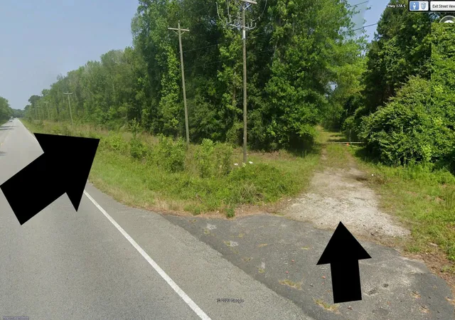 Photo 5 of Land for sale at 0 S Highway 17, Ridgeville, SC 29472 | MLS# 25018413 | Listing updated on 2025-07-03