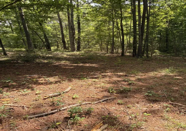 Photo 1 of Land for sale at 1061 Myrtle Dr, Santee, SC 29142 | MLS# 26021089 | Listing updated on 2026-08-21