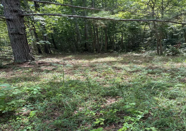 Photo 2 of Land for sale at 1061 Myrtle Dr, Santee, SC 29142 | MLS# 26021089 | Listing updated on 2026-08-21