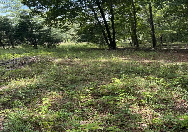 Photo 3 of Land for sale at 1061 Myrtle Dr, Santee, SC 29142 | MLS# 26021089 | Listing updated on 2026-08-21