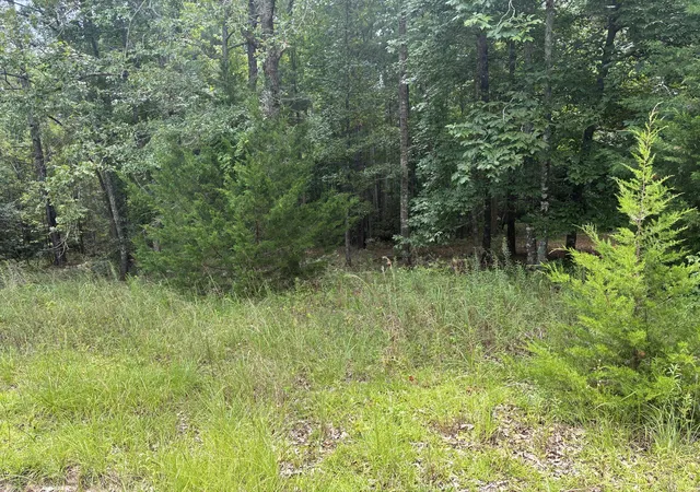 Photo 3 of Land for sale at 1061 Myrtle Dr, Santee, SC 29142 | MLS# 26021089 | Listing updated on 2026-08-21