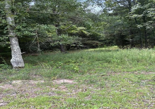 Photo 4 of Land for sale at 1061 Myrtle Dr, Santee, SC 29142 | MLS# 26021089 | Listing updated on 2026-08-21
