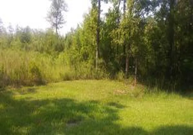 1st image of 258 Truth Way #Lot 6, Cordesville, SC 29434 | MLS# 25032967