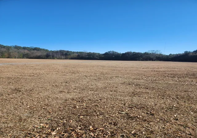 2nd image of 258 Truth Way #Lot 6, Cordesville, SC 29434 | MLS# 25032967