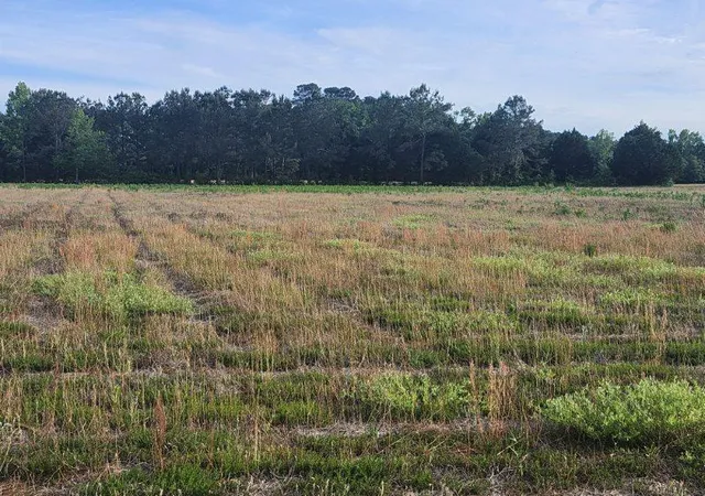 Photo 1 of Land for sale at 0 Broxton Bridge Rd, Bamberg, SC 29003 | MLS# 26024355 | Listing updated on 2026-08-27