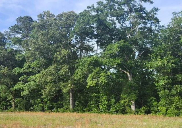 Photo 2 of Land for sale at 0 Broxton Bridge Rd, Bamberg, SC 29003 | MLS# 26024355 | Listing updated on 2026-08-27