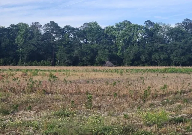 Photo 3 of Land for sale at 0 Broxton Bridge Rd, Bamberg, SC 29003 | MLS# 26024355 | Listing updated on 2026-08-27