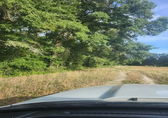 Photo 5 of Land for sale at 0 Broxton Bridge Rd, Bamberg, SC 29003 | MLS# 26024355 | Listing updated on 2026-08-27