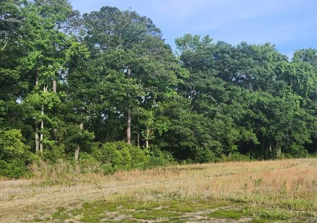 Photo 6 of Land for sale at 0 Broxton Bridge Rd, Bamberg, SC 29003 | MLS# 26024355 | Listing updated on 2026-08-27