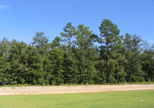 Photo 1 of Sale Pending at 0 Shore Dr #Lot 36, Orangeburg, SC 29118 | MLS# 24022374 | Listing updated on 2024-10-14
