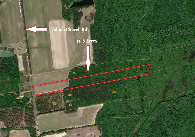 Photo 17 of Land for sale at 0 Adnah Church Rd, Islandton, SC 29929 | MLS# 24020680 | Listing updated on 2026-08-08