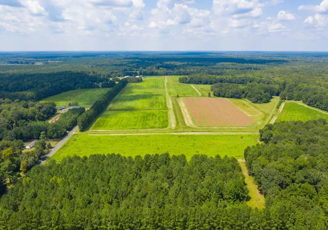 Photo 3 of Land for sale at 0 Adnah Church Rd, Islandton, SC 29929 | MLS# 24020680 | Listing updated on 2026-08-08