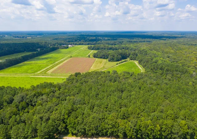 Photo 4 of Land for sale at 0 Adnah Church Rd, Islandton, SC 29929 | MLS# 24020680 | Listing updated on 2026-08-08