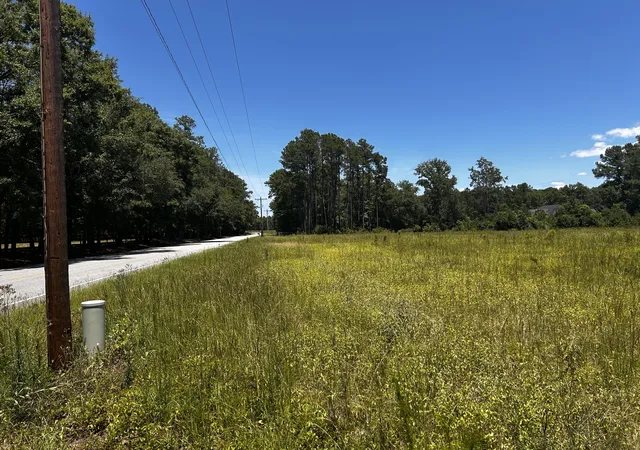 image of 0 Cane Branch Rd, Walterboro, SC 29488 | MLS# 26017754