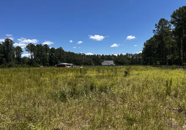 image of 0 Cane Branch Rd, Walterboro, SC 29488 | MLS# 26017754