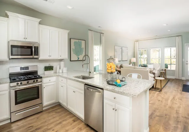 Homes for sale in Summerville, SC | 1042 Lettered Olive Ln, Summerville, SC 29485 | MLS# 26017676