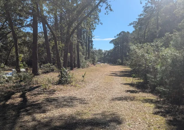 Photo 2 of Land for sale at 2128 Mcneil Washington Rd, Charleston, SC 29412 | MLS# 26013727 | Listing updated on 2026-08-13