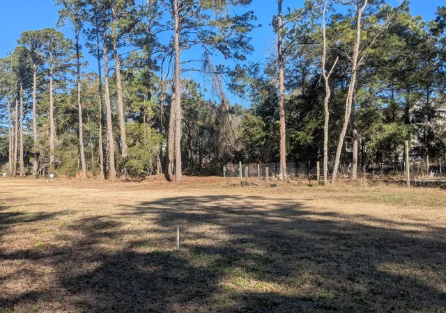 Photo 3 of Land for sale at 2128 Mcneil Washington Rd, Charleston, SC 29412 | MLS# 26013727 | Listing updated on 2026-08-13