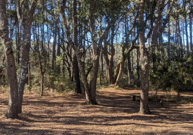Photo 3 of Land for sale at 2128 Mcneil Washington Rd, Charleston, SC 29412 | MLS# 26013727 | Listing updated on 2026-08-13