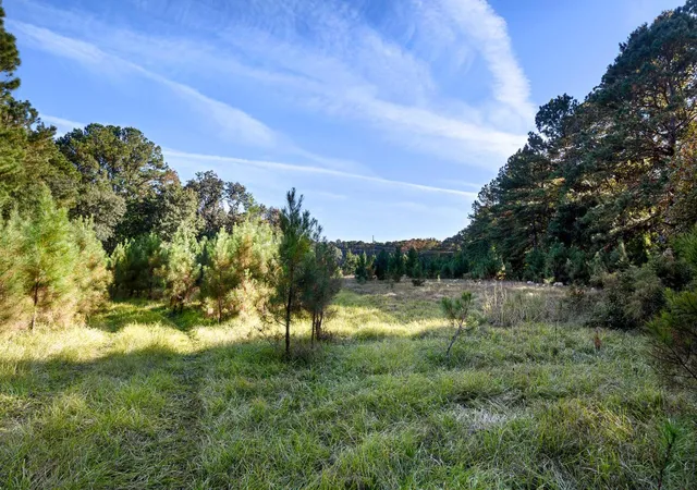 Homes for sale in Johns Island, SC | 2476 Joseph Pearline Rd, Johns Island, SC 29455 | MLS# 26001794