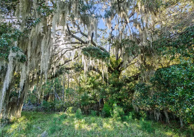 Homes for sale in Johns Island, SC | 2476 Joseph Pearline Rd, Johns Island, SC 29455 | MLS# 26001794