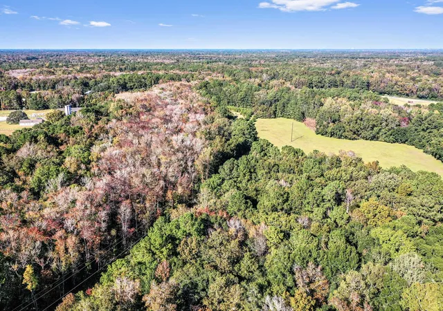 Homes for sale in Johns Island, SC | 2476 Joseph Pearline Rd, Johns Island, SC 29455 | MLS# 26001794