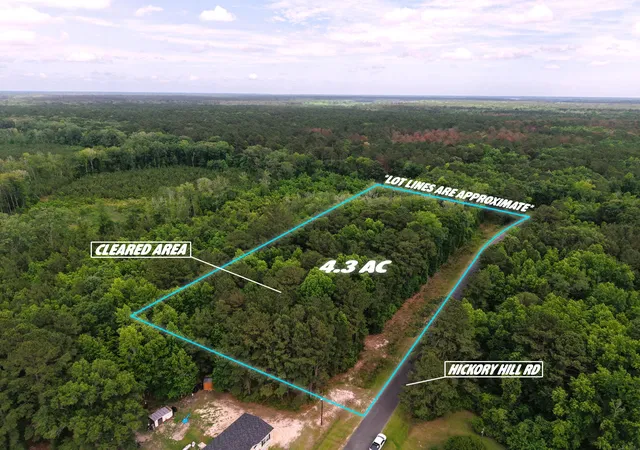 Homes for sale in Green Pond, SC | 0000 Hickory Hill Rd, Green Pond, SC 29446 | MLS# 26016005
