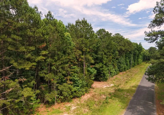 Homes for sale in Green Pond, SC | 0000 Hickory Hill Rd, Green Pond, SC 29446 | MLS# 26016005