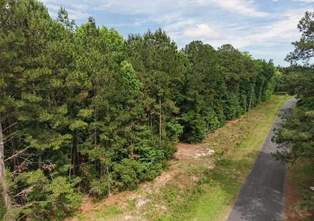 Homes for sale in Green Pond, SC | 0000 Hickory Hill Rd, Green Pond, SC 29446 | MLS# 26016005